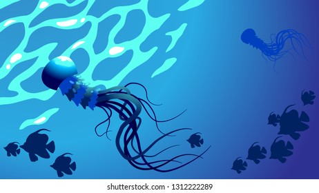 Underwater world, wildlife in ocean sea deep, fish and medusas jellyfish, diving