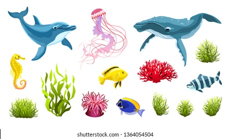 Undewater animals and plants collection. Sea life cartoon elements isolated on white background. Cartoon whale, dolphin, jellyfish with seaweeds and corals vector illustration. 