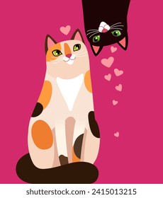 aparición inesperada de un gato negro enamorado cerca de un gato multicolor