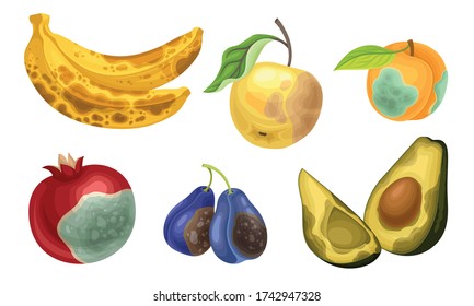 Rotten Complete Mango Stock Photo - Download Image Now - Mango Fruit, Old,  Rotting - iStock