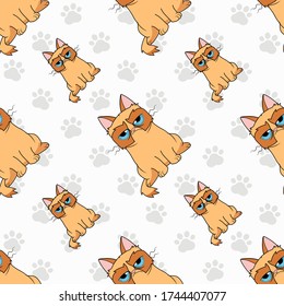 Unfriendly face orange cat seamless pattern with small paws around isolated on white color background. Vector Illustration.