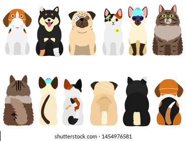 unhappy sick cats and dogs set