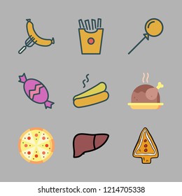 unhealthy icon set. vector set about pizza, chicken, hot dog and french fries icons set.