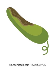 Unhealthy vegetable flat icon Compost Rotten food