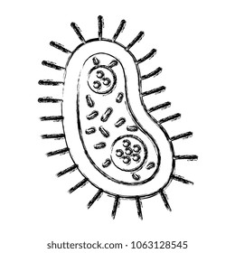 unicellular bacteria laboratory icon