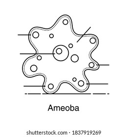 A Unicellular Organism, Amoeba Icon In Line Vector 