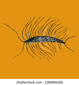 unicellular organism. bacterium. microbe. realistic image