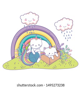 Unicorn cat cartoon couple vector design