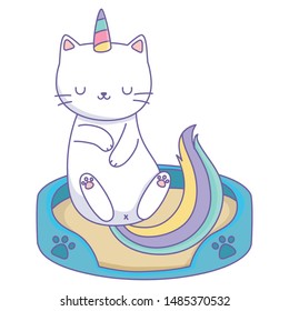 Unicorn cat cartoon vector design