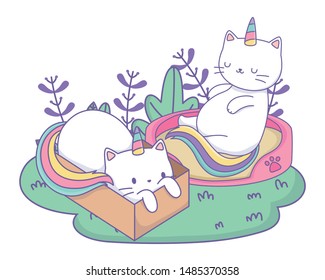 Unicorn cats cartoons vector design