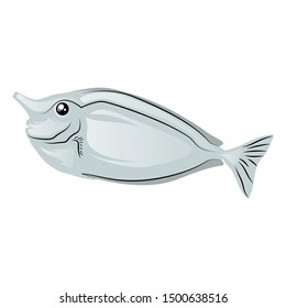 Unicorn Fish Vector Illustration Isolated On White Background