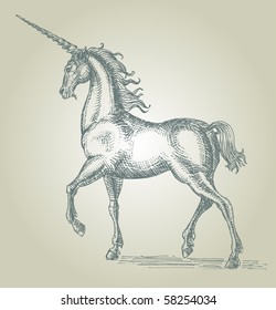 unicorn hand drawn illustration