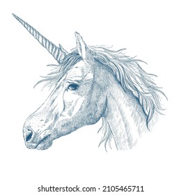 Perfil de cabeza de unicornio dibujado a mano estilo retrato mágico, ilustración vectorial gráfica