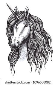 Unicorn horse sketch of magic animal with horn. Head of mythical unicorn or fairy horse with wavy mane. Mythology and fairytale hero for tattoo and t-shirt print design