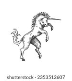 Unicorn medieval heraldic animal sketch. Fantasy beast, legend unicorn horse or mythical animal etching vector emblem. Magic creature medieval coat of arms, sketch insignia or royal heraldic sign