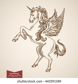 Unicorn mythical flying creature animal wild horse wind standing hind legs  Engraving style pen pencil crosshatch hatching paper painting retro vintage vector lineart illustration 