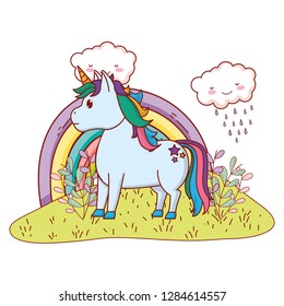unicorn with rainbow