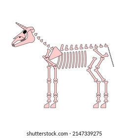 Unicorn skeleton isolated. Magic horse with horn bones. Vector illustration