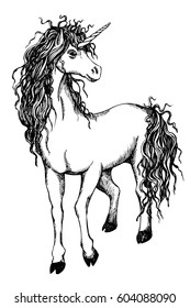 Unicorn sketch