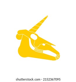 Unicorn skull isolated. Magic horse with horn cranium. Vector illustration