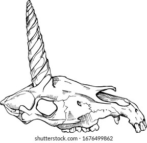 Unicorn skull. Tattoo design vector illustration.