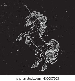 Unicorn Standing On Its Hind Legs As A Traditional Heraldry Emblem. Sketch On A Nightsky Background With Stars. EPS10 Vector Illustration.