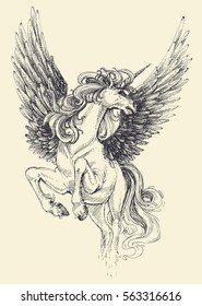 Unicorn vector drawing. Fantastic animal flying, isolated