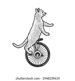 unicycle cartoon circus cat sketch engraving vector illustration. T-shirt apparel print design. Scratch board imitation. Black and white hand drawn image.