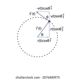 Uniform circular motion position and velocity dependency on angle. Purple and blue vector components  sine and cosine in x and y direction. Black dashed circle on white background.