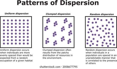 Uniform, clumped and random dispersion patterns in ecology