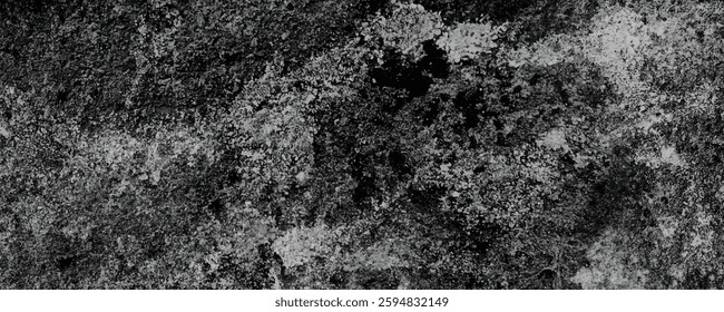The Unique and Abstract Patterns Created by the Natural Erosion of a Cement Surface
