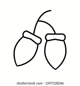 Unique Acorns Vector Line Icon
