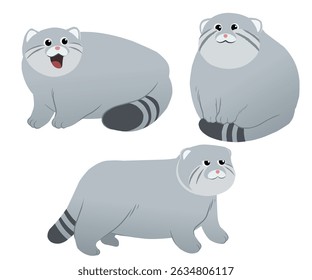 Unique and adorable pallas cat vector collection. Perfect for various projects.