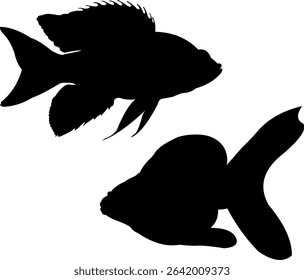 Unique and attractive fish silhouette shape