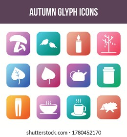 Unique autumn vector glyph icon set