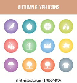 Unique autumn vector glyph icon set