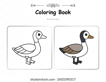 Unique Barnacle Goose Coloring Animal Design