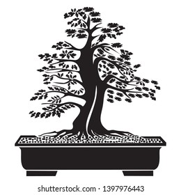 Unique and beautiful Bonsai Tree