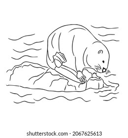 unique beaver line art,line drawing ,vector art,sketch outline