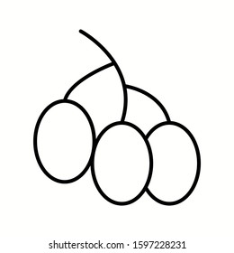 Unique Berries Vector Line Icon