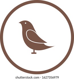 Unique Birds Vector Glyph Icon