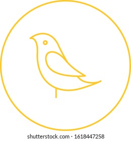 Unique Birds Vector Line Icon