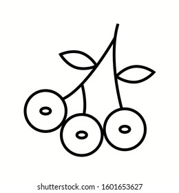 Unique Blueberry Vector Line Icon