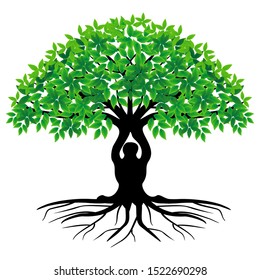 Unique bonsai tree rooted in green leaves on a white background. vector