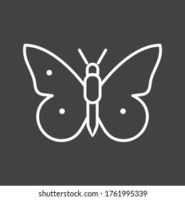 Icono de vector de línea de mariposa única