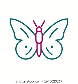Unique Butterfly Vector Line Icon