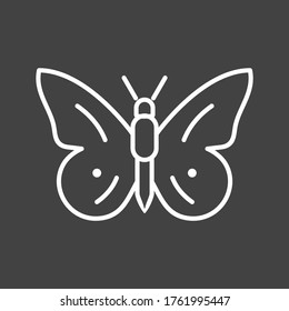Unique Butterfly Vector Line Icon