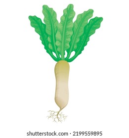  Ilustración de zanahoria única con hoja verde