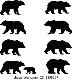 Unique Collection Of Bear Silhouette
