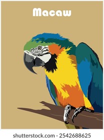 Colección única de pájaros coloridos, Ilustraciones vectoriales